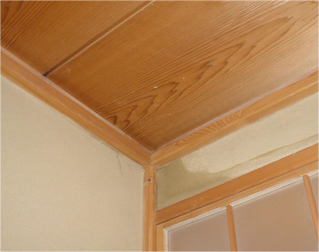 壁の中や天井から音がする