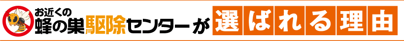 お近くの蜂の巣駆除センターが選ばれる理由