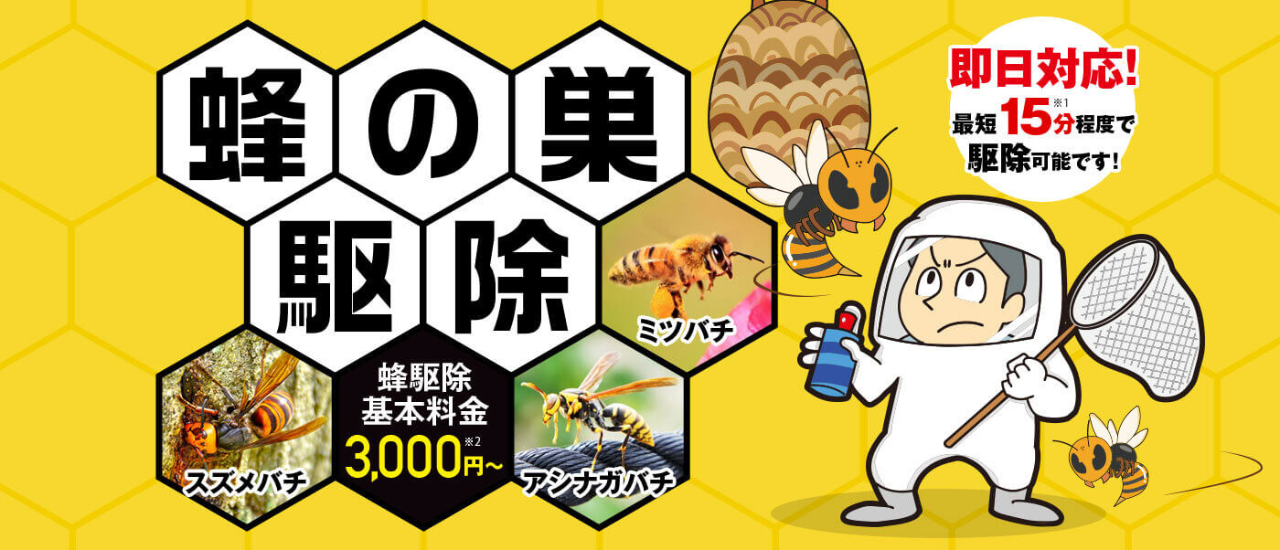 蜂の巣駆除 蜂駆除基本料金3,000円〜